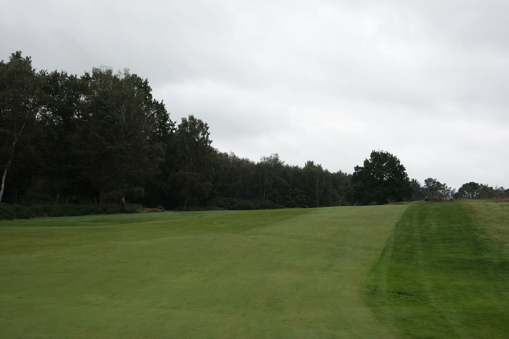 15th Hole at Sunningdale Golf Club (New) (431 Yard Par 4)